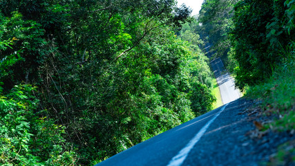 Beautiful of road on Khao Yai National Park Of Thailand
