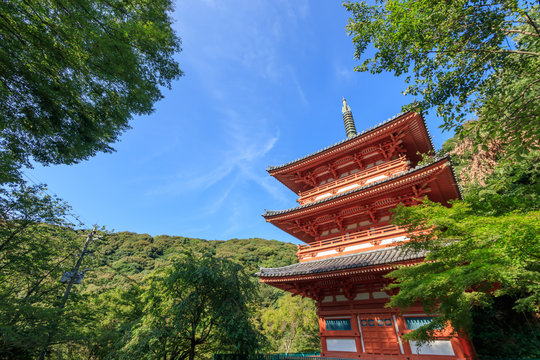 466 件の最適な 清水寺三重塔 画像 ストック写真 ベクター Adobe Stock