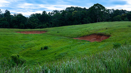 Landscape of salt earth on Khao yai national park Thailand