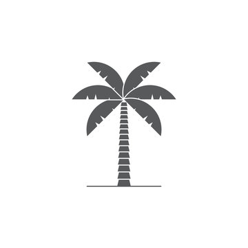 palm tree vector icon symbol isolated on white background