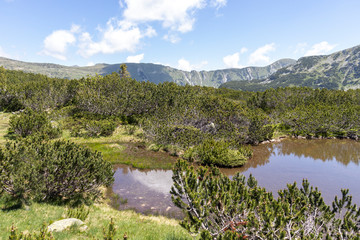 Small lakes near The Fish Lakes, Rila mountain, Bulgaria