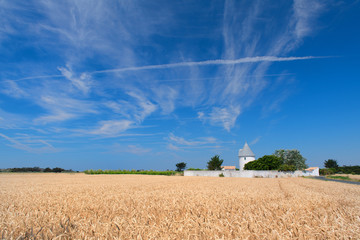 Fototapeta premium Landscape island Ile de Re