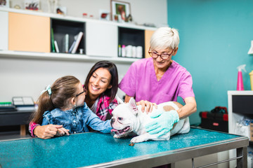 Mother and daughter with their french bulldog at veterinary.
