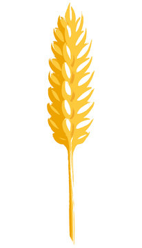 Ear of Wheat or Rye hand painted brush and ink vector illustration graphic icon, ideal for packaging, labels etc.