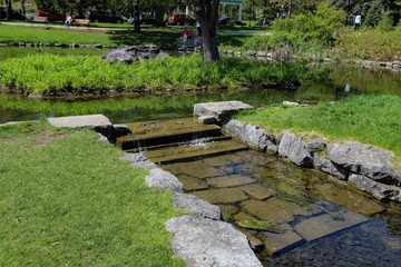 bridge in the park