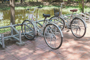 Fototapeta na wymiar Bicycle parking, travel road city street park