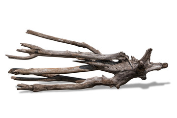 Close-Up Of Driftwood Against White Background. clipping path