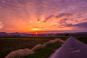 夕暮れの田舎道