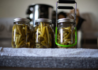 green beans in mason jars cooling down after the canning process