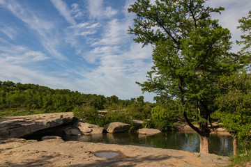 Large trees along a stream at McKinney Falls State Park, Austin, Texas 