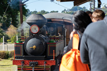 Tourists waiting for an old steam locomotive to take a ride.