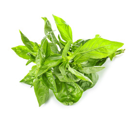 Fresh basil on white background