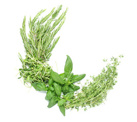 Different fresh herbs on white background