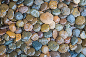 Wet rock river texture