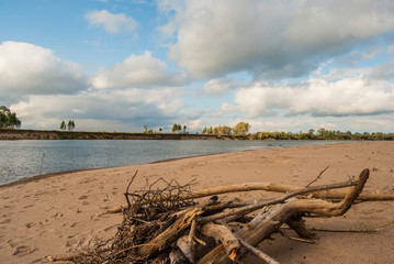 Коряги на берегу