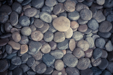 Wet rock river texture