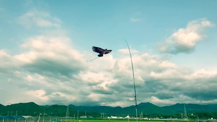 BIRD PROTECTOR USED FOR REPELLING BIRD