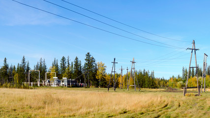 Obraz premium Power lines are on poles, the current from the station, standing near the Northern wild forest in Yakutia.