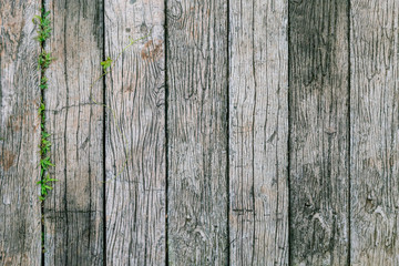 Fototapeta premium Old vintage wooden flat texture