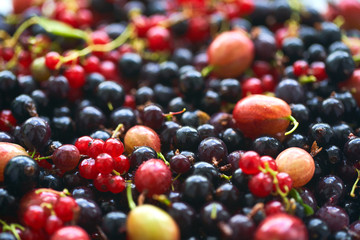 many different bright berries. summer harvest of fresh berries. a set of berries to make a compote.