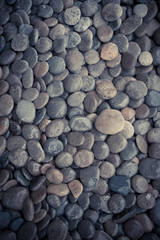 Wet rock river texture