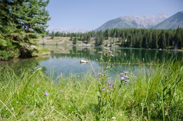 A still mountain lake