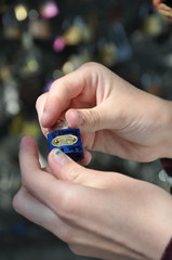 Love locks on Pont des Arts Paris France