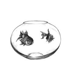 Illustration of drawing goldfish in a salt bottle