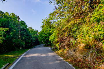 empty narrow road in the middle of tropical forest at Fraser Hill, Malaysia