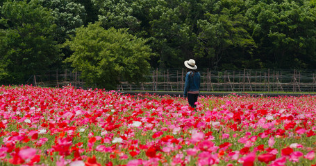 Woman look away inside poppy flower field