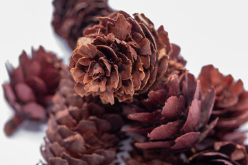 Warm ornaments with pineapples and seeds for a Christmas table
