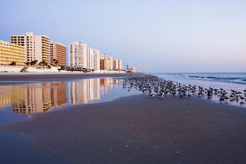Early morning at the deserted beach. Scenic view with shore line hotels reflected in shallow water and seagulls at the Atlantic ocean beach. Daytona Beach, Florida, USA. Vacation concept.
