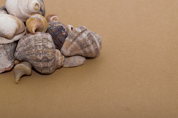  ornaments for a holiday table with snails, seashells and small stones
