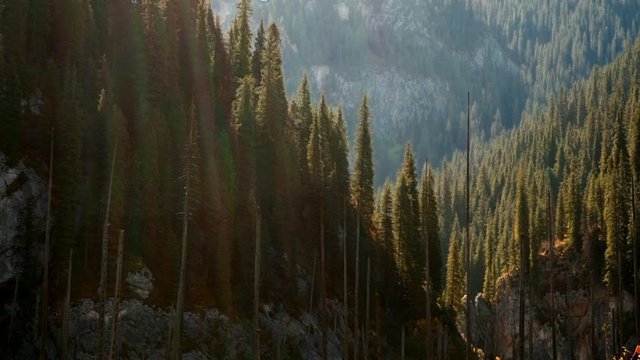 KAINDY LAKE, MOUNTAINS, FOREST, TREES, KAZAKHSTAN, CENTRAL ASIA, TOURISM, ESCAPE FROM THE CITY