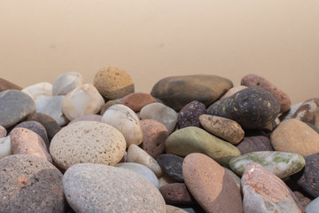 piedras pequeñas de colores con desgaste de playa hermosa, con algunos caracoles marinos y sedimentos 