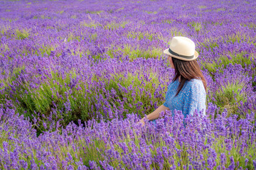 Mature caucasian woman with brown hair and wearing a summer straw hat is picking a flower, turned...