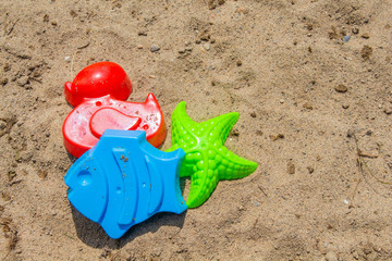 A set of sand toys, colourful molds of a duck, fish and starfish, lies on the beach in the summer.