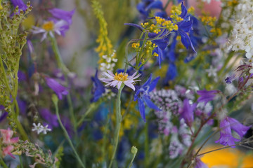 mixed summer fresh wild flowers bouquet closeup shot