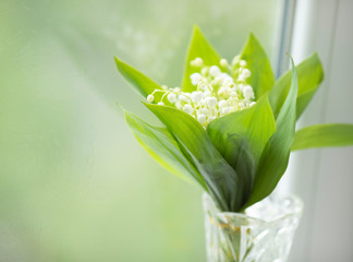 Spring flowers 
Flower on white background 