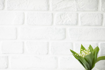 Spring flowers 
Flower on white background 