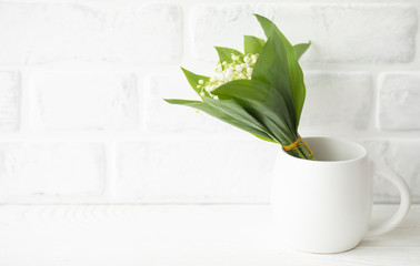 Spring flowers 
Flower on white background 