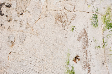 Texture of a concrete wall with cracks and scratches which can be used as a background
