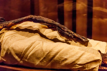 Fototapeta na wymiar Hand of ancient egyptian mummy close-up