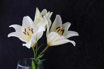 White lily flowers bouquet on black background. Condolence card concept. Close-up, copyspase.