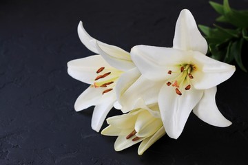 White lily flowers bouquet on black background. Condolence card concept. Close-up, copyspase.