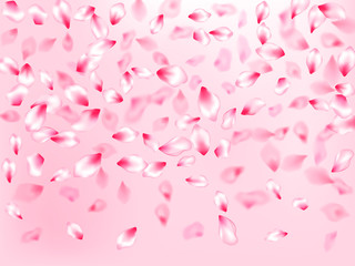 Japanese cherry blossom pink flying petals