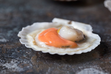 Shellfish, raw fresh scallops on black stone slate background. Seafood concepts.