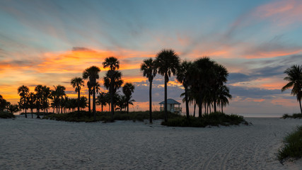 Sunrise at palm trees by the ocean beach in Key Biscayne, Florida