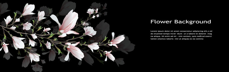 realistic flower, Magnolia branch isolated on black background. Magnolia simvol spring, summer, femininity in the style of realism. 3d, three-dimensional red flower and Text. Widescreen