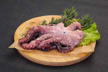 Raw octopus ready for cooking